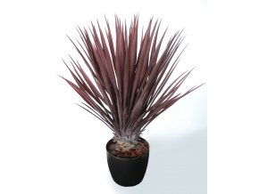 Yucca Linearis Bush 80 cm Burgundy 4233B01