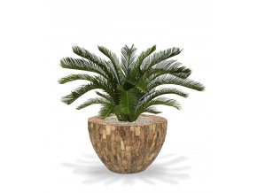 180108 cycas palm deluxe 80 cemani wood bowl 4