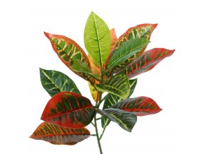 Croton 70 cm Multicolor 5669MLT