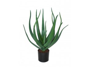 Aloe Vera w pot 60 cm Green 5429GRN