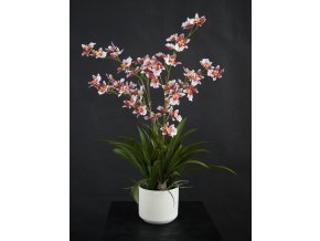 Orchid Dancing Fiber Pot 70 cm Pink 5681PNK