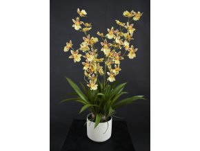 Orchid Dancing Fiber Pot 70 cm Yellow 5681YEL