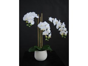 Orchid Phalaenopsis Mini Fiber Pot 50 cm White 5685WHT