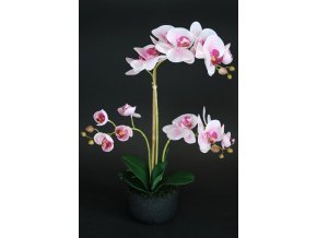 Orchid Phalaenopsis Foam Base 50 cm Pink 5686PNK