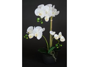 Orchid Phalaenopsis Foam Base 50 cm White 5686WHT