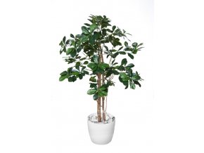 buxifolia elfie 100 cm green 1056004