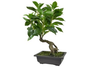 Umelá bonsaj Ficus (50 cm) - v miske