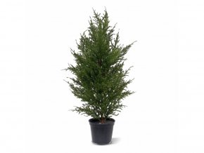 Umelá rastlina Cyprus Thuja (50cm) -v kvetináči