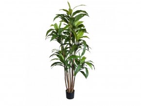 Umelá rastlina Dracaena (170cm)