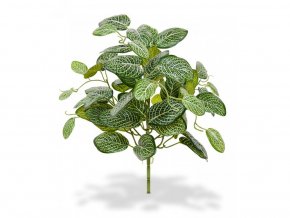 Umelá rastlina Fittonia bukett (40cm)