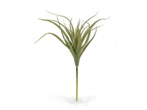 404202 tillandsia steker 20 cm 3