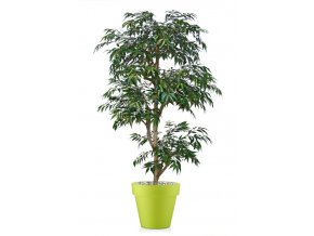 48776 myrsifolia multistep 180 cm green 1068002 2