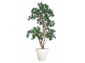 11907 podocarpus stylish 170 cm green classic 1060014