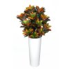 Croton Bush Lux 160 cm Multicolor V5507001