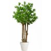 Dracaena Reflexa Exotica 280 cm Green 4008A36