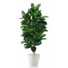 Ficus Elastica Tree 170 cm Green V5426016