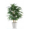 Bamboo Wild Bush 120 cm Green V1074018