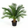 Cycas Plant w pot 40 cm Green 5643GRN