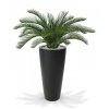 26895 3 umela palma cycas deluxe 60cm