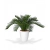 26901 umela palma cycas baby 30cm