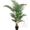 palma areca 140cm