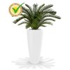 180108uv cycas palm deluxe 80 kentucky 80 shiny white