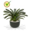 180108uv cycas palm deluxe 80 martinique 45 shiny grey