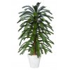 Cycas Florida 230 cm Green V4222A16