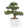 5239 1 umela bonsai podocarpus 80cm