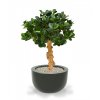 26913 4 umela bonsai panda 60cm