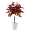 8482 umely strom maple topiary 120cm burgundy