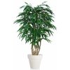 Longifolia Malabar 150 cm Green V1058004