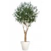 Umělý strom Olive Riviera (Varianta 200cm)