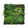 Vegetatie colorful jungle plantenwand