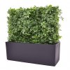 130206uv schefflera heg cassa essential antraciet 80x30x30