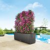 A TRI CTG30 gra Bougainvillea TITEL PL2012