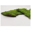 Flat moss Rock 3