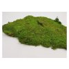 Flat moss Rock 1