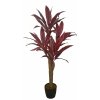 Cordyline Exotica 120 cm Burgundy V1076002