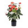 Umelá rastlina Anthurie (80cm)