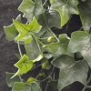 Umelá rastlina Brečtan  previs UV (65 - 100cm) (výška 100cm)