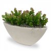 27222 umela rostlina mini sedum 18cm