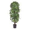 130212uv schefflera kolom 120