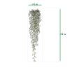 AnyConv.com 212409 Tillandsia hanger 90 size 1