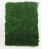 Flat moss green plocha