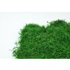 Flat moss green