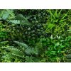 Nerium varen plantenwand Kunsthaagvoordeel detail3