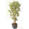 Umělý strom Dracaena Reflexa Boschetto (Varianta (220cm) zelená)