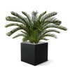 cycas kunstpalm m deluxe 80 cm 180108 5 1 2