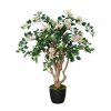 Bouganvillea robustina lt pink 1066p01